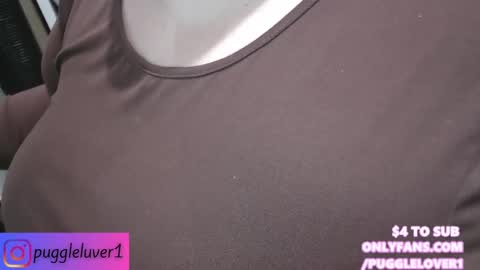 Puggie -  online show from 02/01/25, 11:58