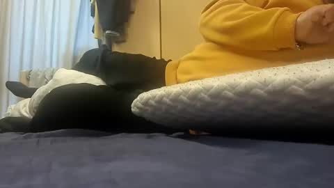 Pulp online show from 01/14/25, 09:02