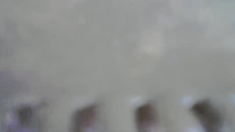 pumpkin3000 online show from 11/30/25, 09:46