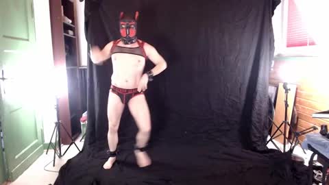 Pup Jake wants to play online show from 03/08/25, 01:03