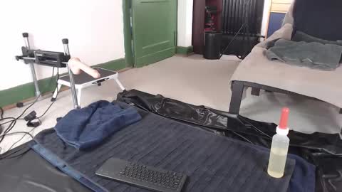 Pup Jake wants to play online show from 03/24/26, 09:14