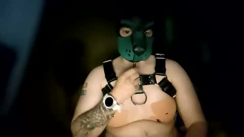 Pup Kori online show from 06/08/26, 06:14