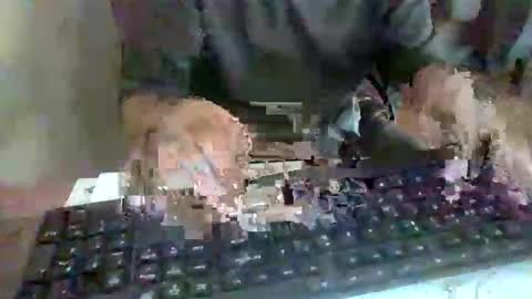 pup_y online show from 09/17/25, 02:52