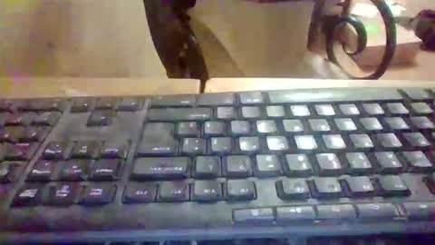 pup_y online show from 01/05/26, 05:27