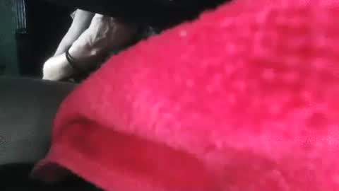 Snapshot of puppah626 chatting on 01/01/25, 05:00 Puppah626 Phoenyx 39s Room online show from 01/01/25, 05:00