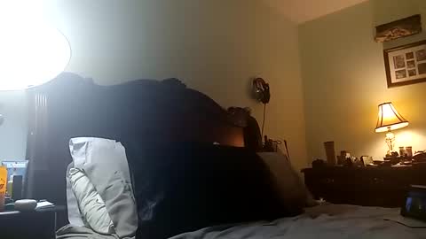 Snapshot of puppah626 chatting on 03/11/25, 08:30 Puppah626 Phoenyx 39s Room online show from 03/11/25, 08:30