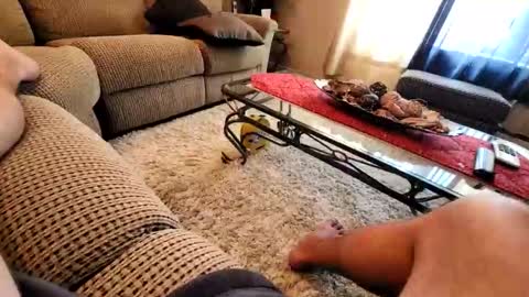 purdyguy7777 online show from 03/19/26, 07:40