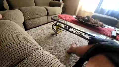 purdyguy7777 online show from 03/20/26, 07:52