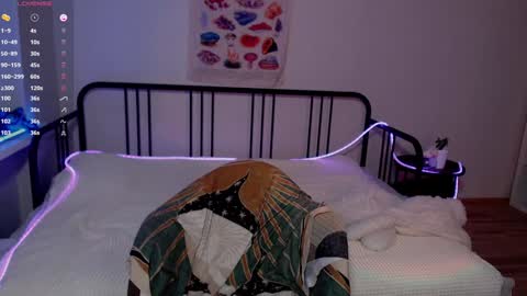 Snapshot of purplebeawer chatting on 12/25/24, 08:50 Francine online show from 12/25/24, 08:50