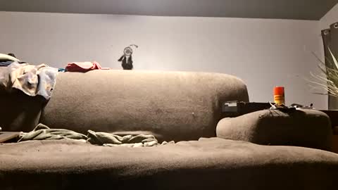 pussylicker517038 online show from 04/20/26, 10:07