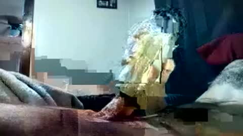 Pussyluver420 online show from 10/01/25, 08:15