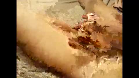 Thick Pussy banger online show from 09/28/25, 07:52