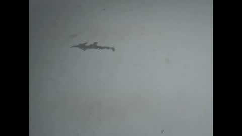 pussyxwetx online show from 02/27/26, 05:02