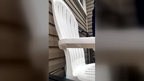 pyrex8 online show from 01/13/26, 03:17