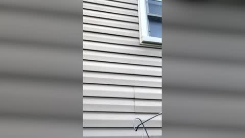 pyrex8 online show from 04/11/26, 11:36