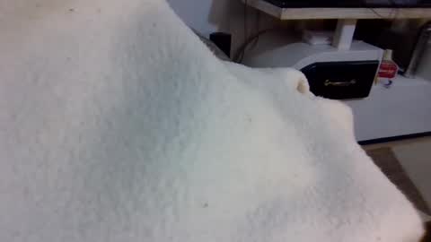 queen014 online show from 12/02/25, 10:27