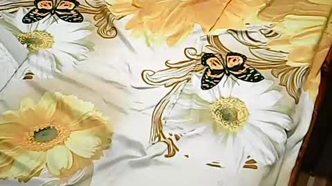 Snapshot of queen_ava05 chatting on 07/02/26, 07:20 queen_ava05 online show from 07/02/26, 07:20