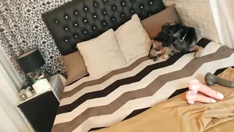 Yeng online show from 03/05/25, 03:29