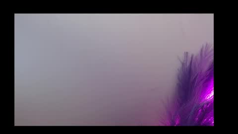 Queen Rosee  online show from 02/05/26, 12:59