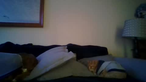 queenbee6269 online show from 02/06/25, 05:51