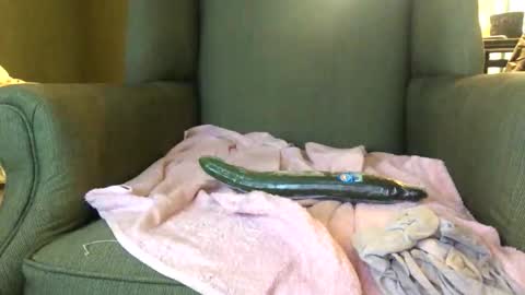 queenkitty477 online show from 10/25/25, 01:46