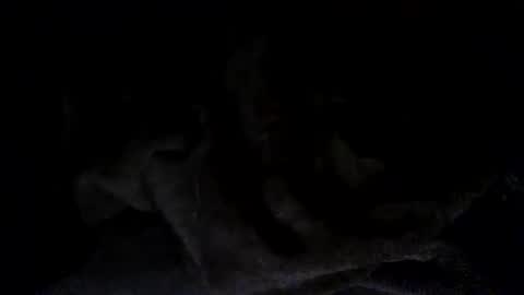 quincy joy11 online show from 03/02/26, 07:15