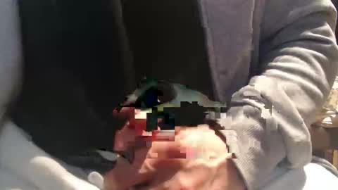 Raccoon68 online show from 04/08/26, 12:16