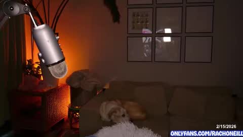 Snapshot of rach_oneill chatting on 02/15/26, 05:31 Rach ONeill online show from 02/15/26, 05:31