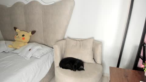 natalia  -  online show from 12/17/24, 08:12