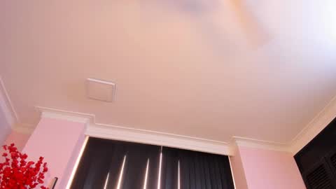 Rachel online show from 12/23/24, 03:01