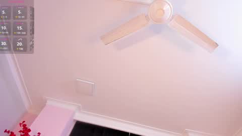 Rachel online show from 01/24/25, 11:37