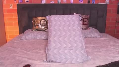 Snapshot of radeonrx_69 chatting on 02/12/26, 04:29 Sebas Andres online show from 02/12/26, 04:29