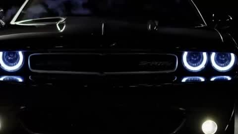 rah_8151 online show from 01/17/25, 05:30