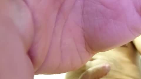 Snapshot of raidehot chatting on 10/21/25, 11:44 raidehot online show from 10/21/25, 11:44