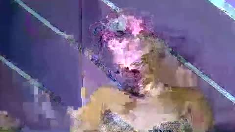 rainbow baby26 online show from 03/07/26, 10:29