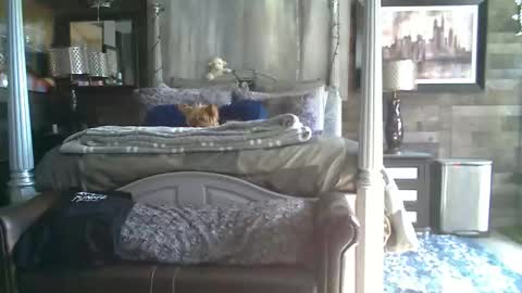 Randy8inbater online show from 01/18/26, 08:12