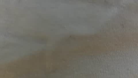 randytoy online show from 06/29/26, 05:03