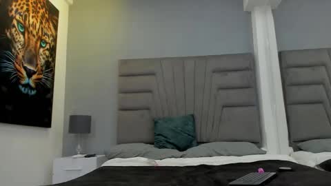 Snapshot of raphael_nyon chatting on 02/05/26, 03:33 Raphael Nyon online show from 02/05/26, 03:33