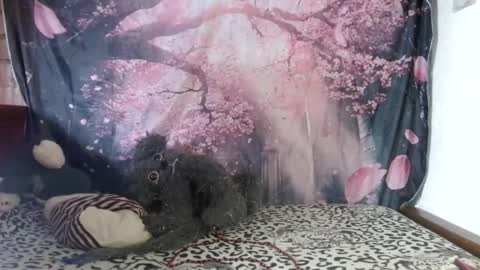ravenlotus online show from 06/25/26, 07:40