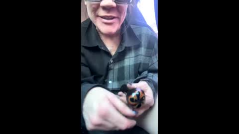 Raven Ray online show from 02/09/26, 04:22