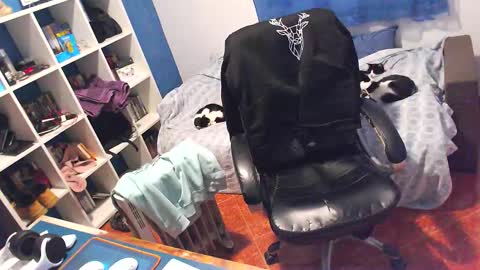 ravingr3d3 online show from 02/05/26, 12:10