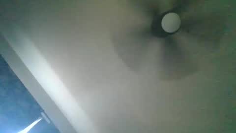 Snapshot of rawdogrobert39 chatting on 10/19/25, 11:16 rawdogrobert39 online show from 10/19/25, 11:16