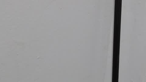 Ray  online show from 03/22/26, 10:40