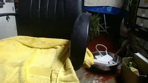 Ray online show from 11/27/25, 01:07