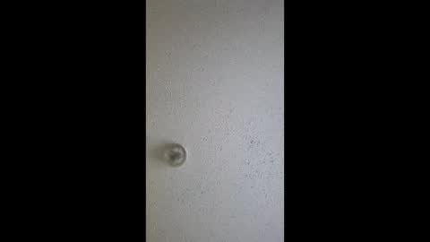 razalgirls online show from 03/03/26, 09:21