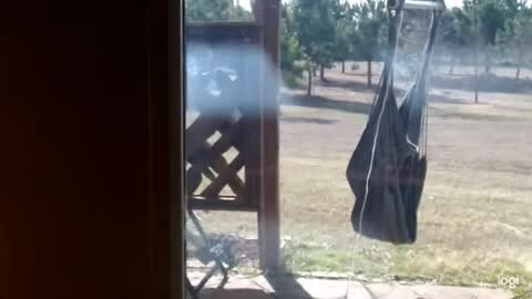 ready4aride2day online show from 02/18/26, 03:52