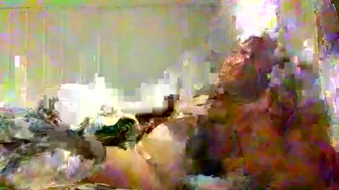 real_viking1 online show from 02/07/26, 05:49