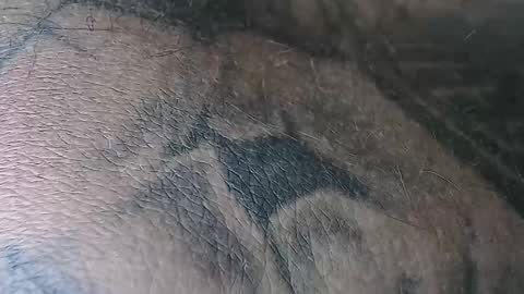 realrubpirate online show from 11/02/25, 06:38