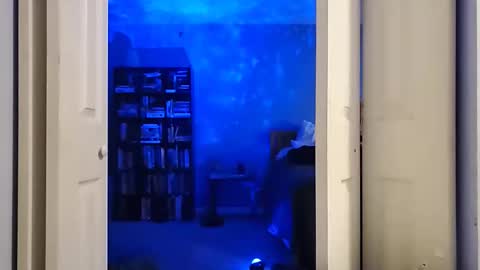 rebelstarlight online show from 02/16/26, 10:00