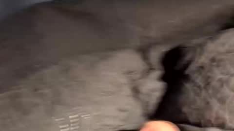 rebornbutbored online show from 11/15/25, 11:40